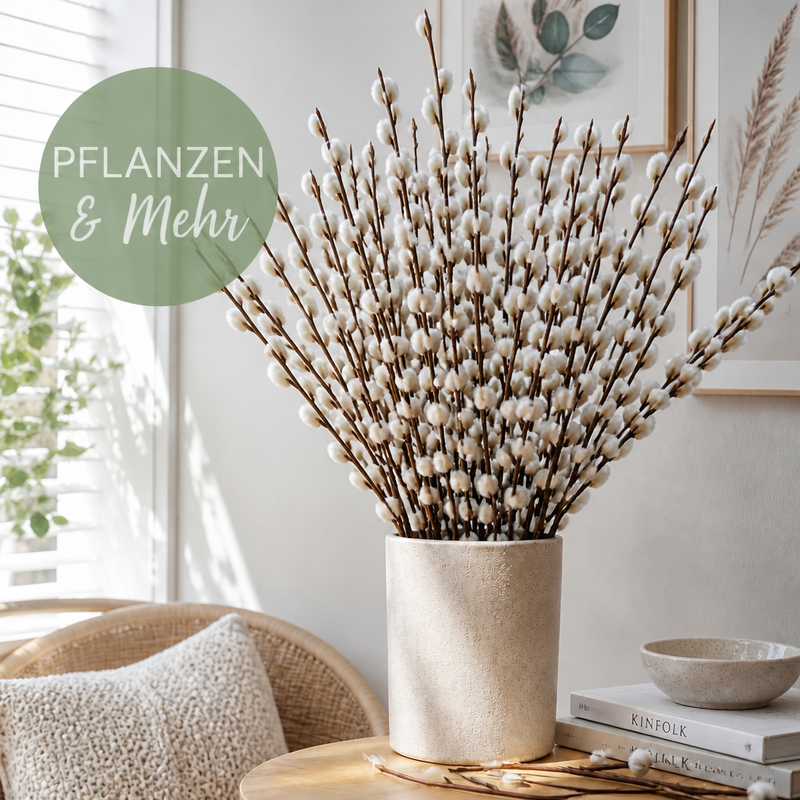 Pflanzen & Mehr
